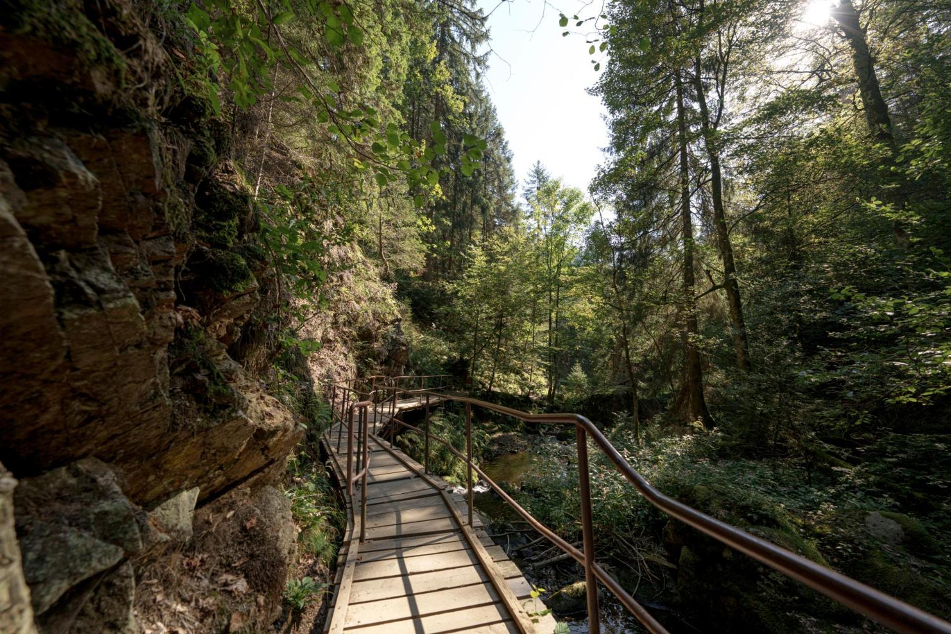Hotel Sonnenberg Garni Hinterzarten Exteriér fotografie